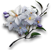 傀影与猩红孤钻/长生者宝盒#203