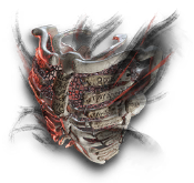萨卡兹的无终奇语/想象实体图鉴#218