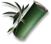 岁的界园志异/珍玩集册#119