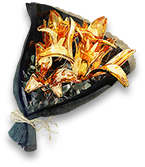 岁的界园志异/珍玩集册#038