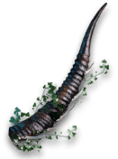 岁的界园志异/珍玩集册#275