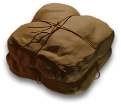 岁的界园志异/珍玩集册#277