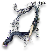 岁的界园志异/珍玩集册#072