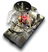 岁的界园志异/珍玩集册#083