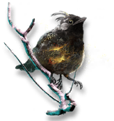 岁的界园志异/珍玩集册#233