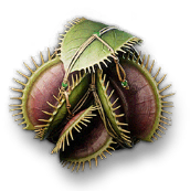 薄行囊