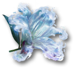 浪花