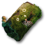 多生苔藓