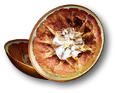 血橙