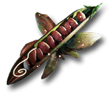 种荚